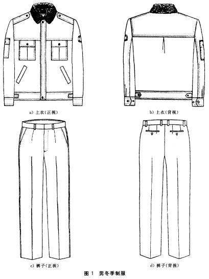 标准附图