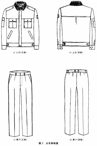 标准附图