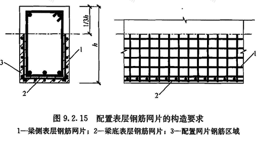 标准附图