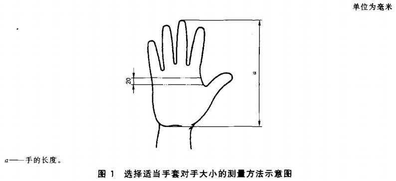 标准附图