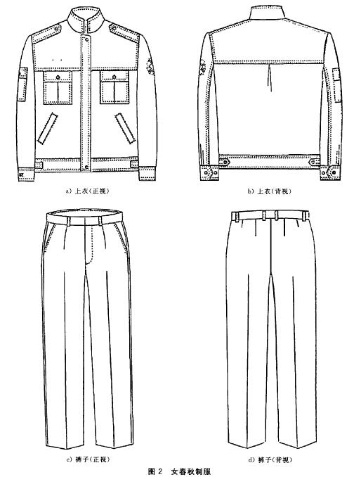 标准附图