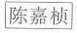 标准附图