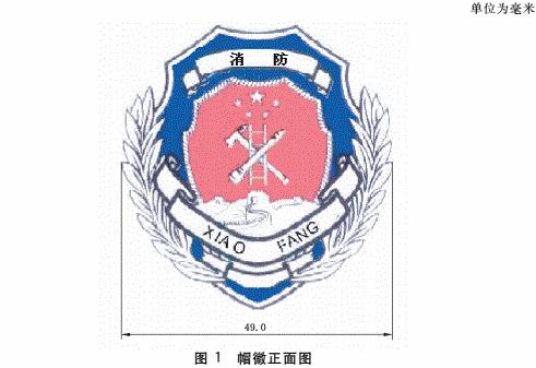 标准附图