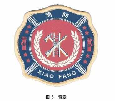 标准附图
