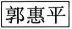 标准附图
